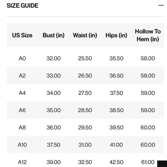 NWT Azazie Sharon A-Line One Shoulder Chiffon Gown Size 12 gray fog formal - Picture 10 of 10